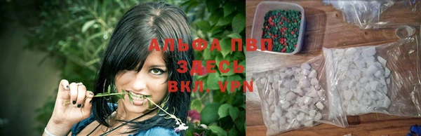 спайс Арсеньев