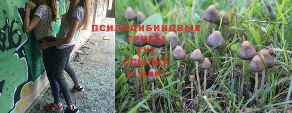 спайс Арсеньев
