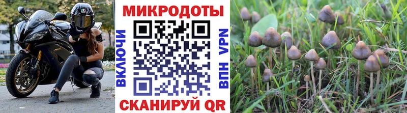 Галлюциногенные грибы мухоморы  где купить   площадка состав  Белоярский  MEGA tor 